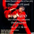Stage hapkido russello avril 2020